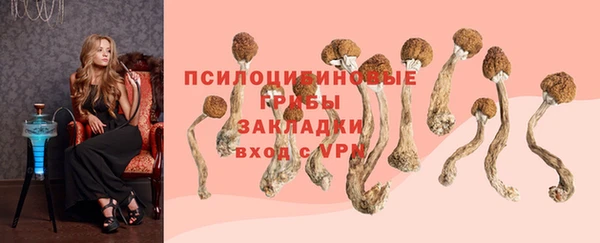 герыч Аркадак