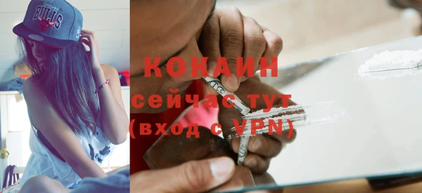 шишки Арсеньев