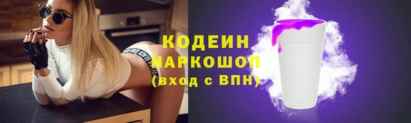 шишки Арсеньев