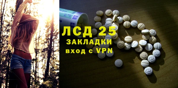 шишки Арсеньев