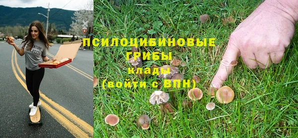 мяу мяу мука Армянск