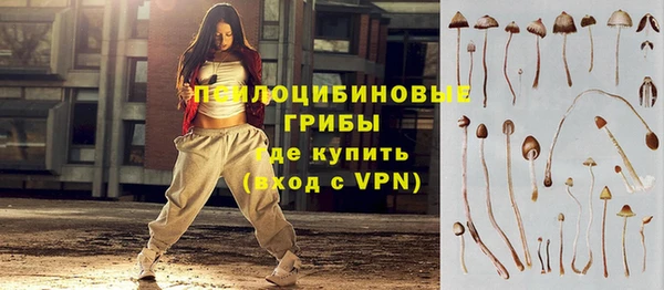 шишки Арсеньев