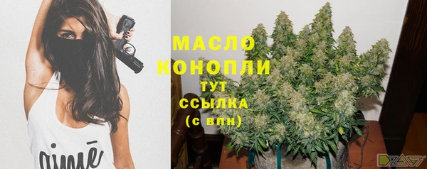 шишки Арсеньев