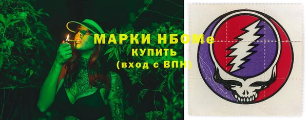 шишки Арсеньев