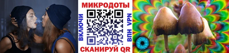 Галлюциногенные грибы Psilocybine cubensis  Купить закладки  Новая Усмань 